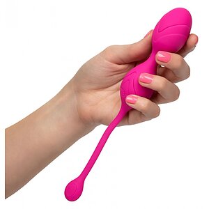 Bile Vaginale Dual Motor Kegel System Roz Thumb 1