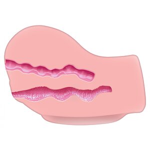 Masturbator Hot Honey Rider Vibration Thumb 3