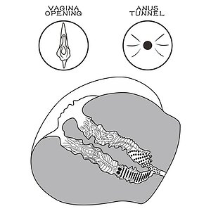 Masturbator Lovetoy Streetgirls #12 — TPE Ultra-moale Thumb 9