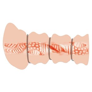 Crazy Bull Flesh 3D Thumb 4