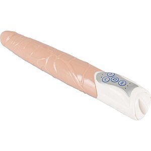 Penis Artificial Cu Vibrații Push It! Thumb 4