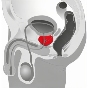 Vibrator Bărbați Pentru Prostată Twister Negru Thumb 16
