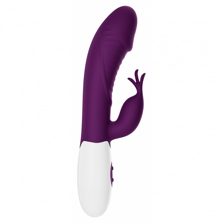 Pretty Love Rasmussen Purple, Dual Stimulator 30 Vibrații Mov